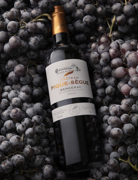 Château Pique-Sègue Rouge