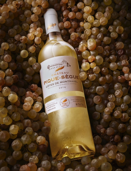 Château Pique-Sègue blanc...