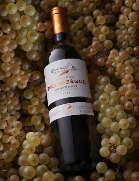Château Pique-Sègue Blanc