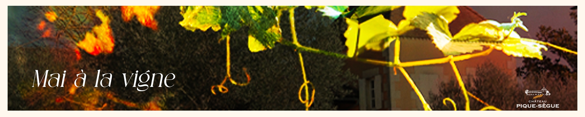 Mai à la vigne : Le réveil des sens au Château Pique-Sègue