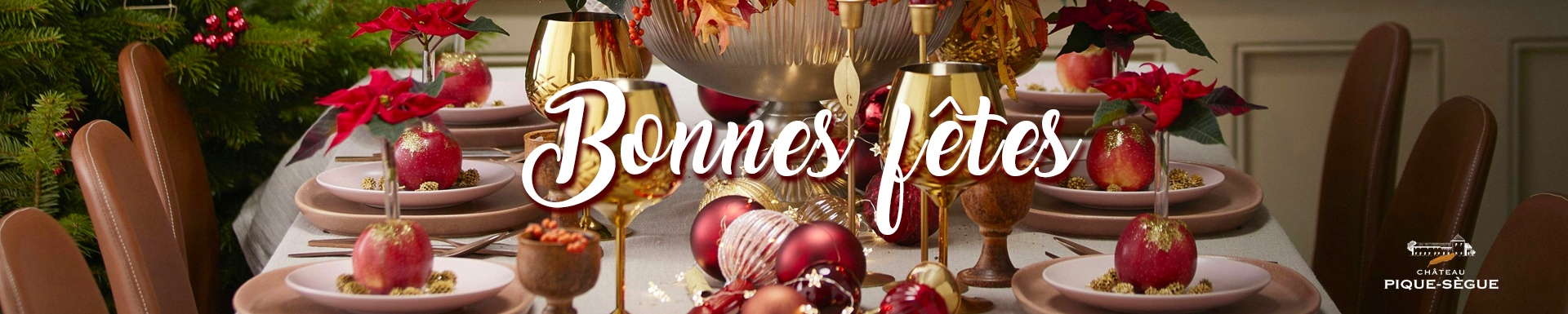 Noël : quels vins servir pour épater vos invités (sans vous ruiner!)