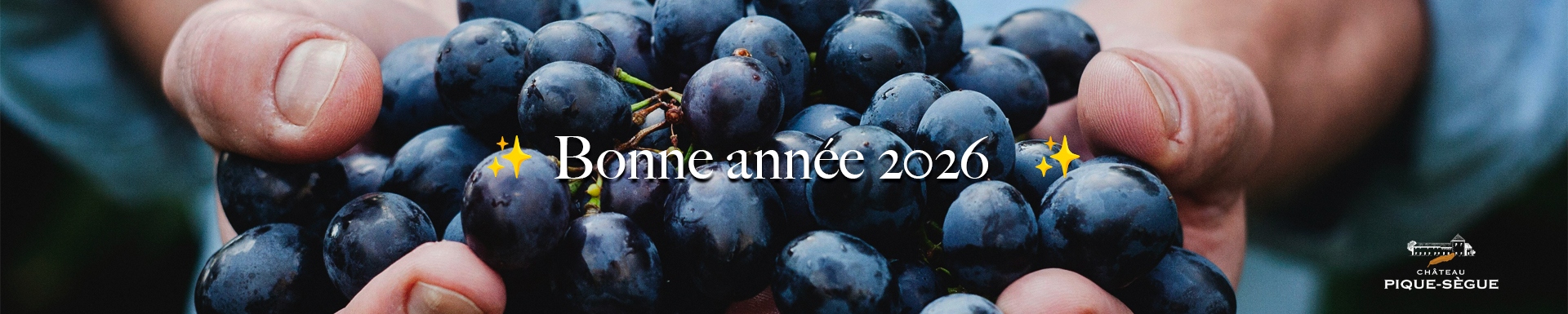 Les résolutions vinicoles 2026 : boire mieux, pas moins !