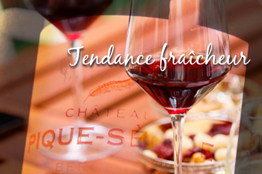 Les vins rouges légers et fruités : la tendance fraîcheur à adopter cet été