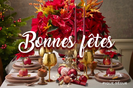 Noël : quels vins servir pour épater vos invités (sans vous ruiner!)