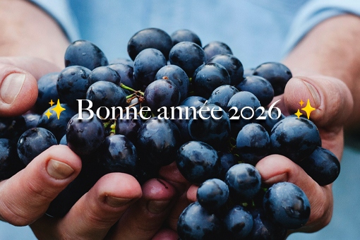 Les résolutions vinicoles 2026 : boire mieux, pas moins !